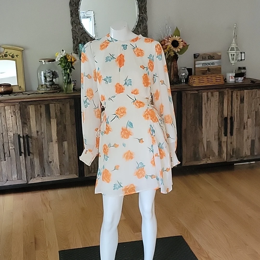 Free People Samantha Floral Print Long Sleeve Lace Up Mini Dress